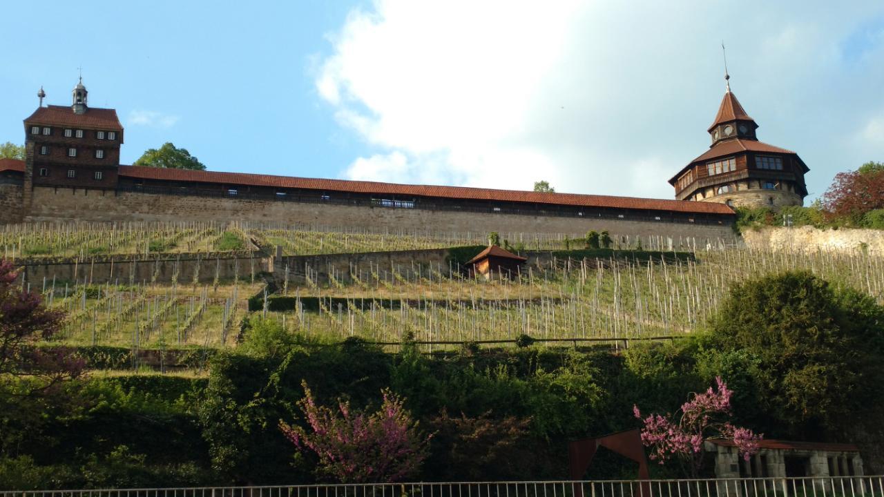 Wanderroute Weinberge Esslingen